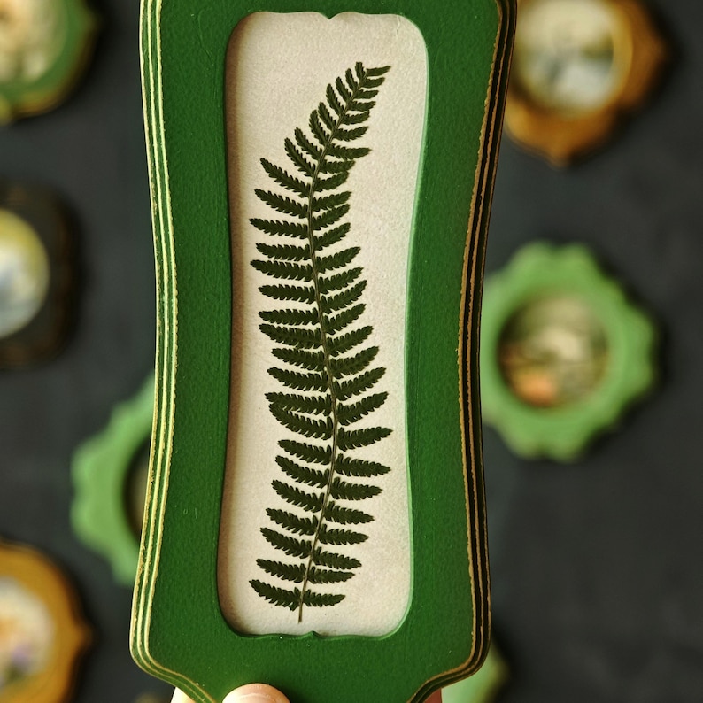 Puede incluir: Un marco de madera verde, alto y rectangular, con bordes desgastados, que presenta una sola hoja de helecho prensada de color verde oscuro centrada sobre un fondo de color crema claro. El marco tiene un acabado mate liso y borde curvo.
