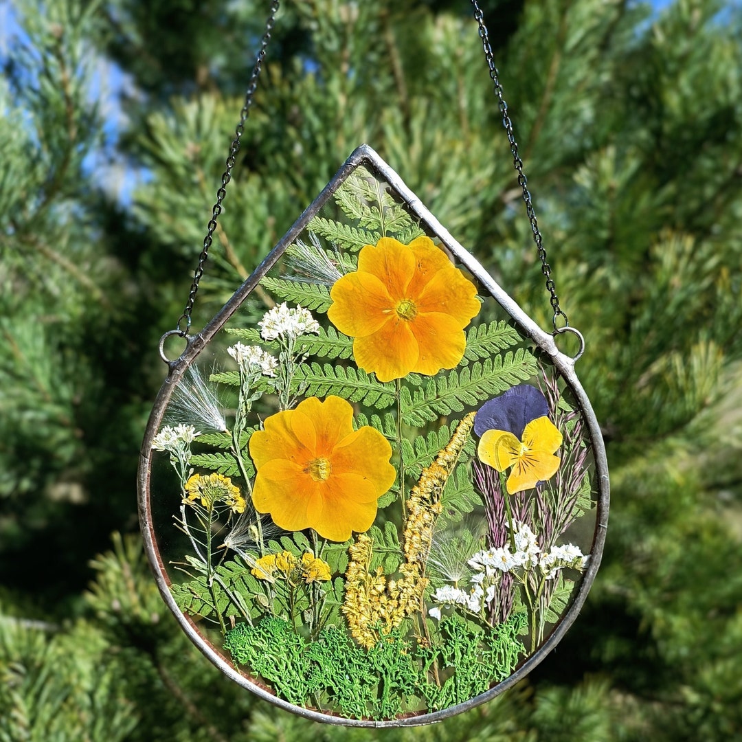 Stained Glass Frame, Pressed Flower Frame, Pressed Plant Frame, Flower