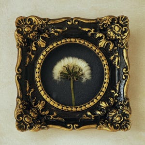 May include: A square wall frame with an ornate black and gold finish featuring a circular centre cutout. Inside the circular display is a single white dandelion seed head with a green stem set against a solid black background.
