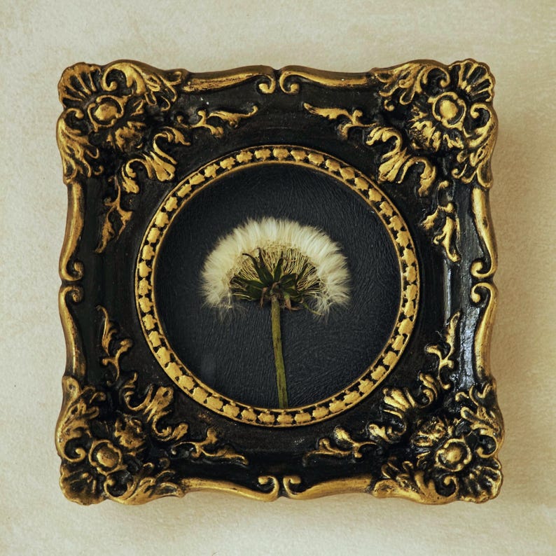 May include: A square wall frame with an ornate black and gold finish featuring a circular centre cutout. Inside the circular display is a single white dandelion seed head with a green stem set against a solid black background.