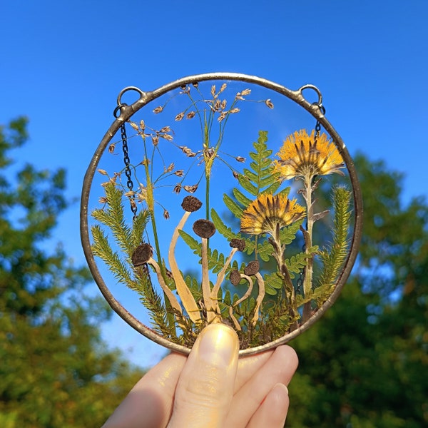 Botanical dried pressed flower frame hanging wall art, pressed flower art, pressed flower frame