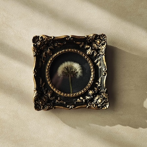 May include: A square wall frame with an ornate, dark gold-toned border featuring intricate scrollwork and floral motifs. The frame contains a circular inner display area showcasing a single white dandelion seed head against a black background.