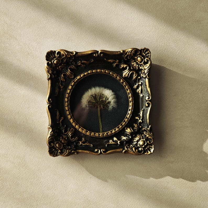 May include: A square wall frame with an ornate, dark gold-toned border featuring intricate scrollwork and floral motifs. The frame contains a circular inner display area showcasing a single white dandelion seed head against a black background.