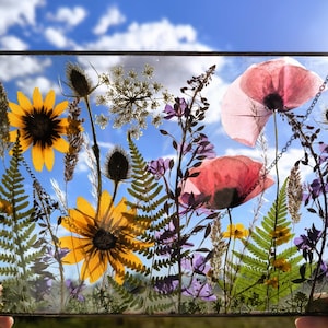 Large pressed flower frame, Hanging glass decor, Wall decor, Botanical art, Pressed flower art, Real dried flowers, Herbarium