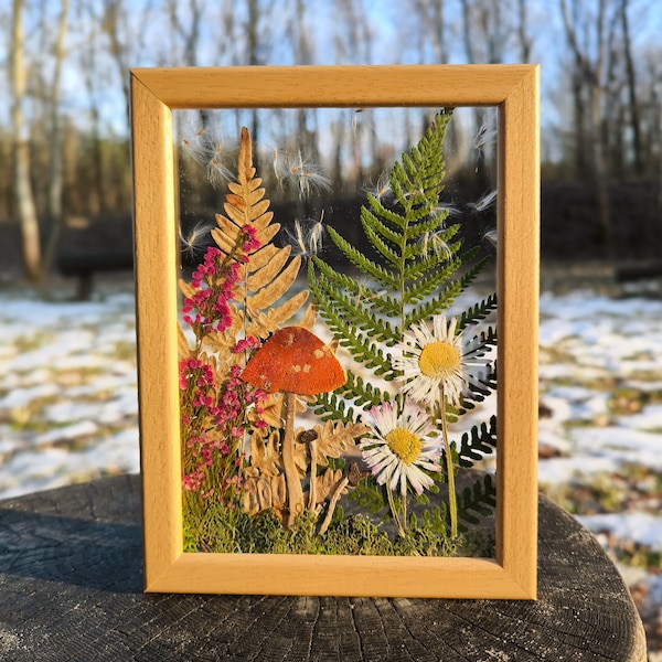 Original artwork - real mushrooms in frame, botanical décor, pressed flower wall art, original and unique flower gift