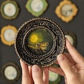 Framed Moth Wall Art, Vintage Round Miniature Canvas, Dark Academia Insect Decor product logo