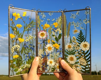 Könnte beinhalten: Eine dreiteilige gerahmte Anzeige mit gepressten Blumen und Grünpflanzen. Die Paneele sind aus Glas und haben einen Metallrahmen. Die Blumen sind in verschiedenen Farben, darunter Gelb, Weiß und Rosa.