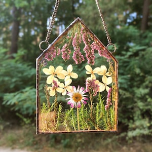 Pressed flower suncatcher, original artwork - real wildflower in frame, pressed flower wall art, original and unique gift