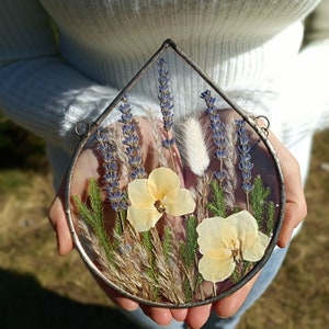 Stained glass frame, pressed flower frame, pressed plant frame, flower hanging, hanging glass decor