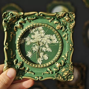 May include: A square wall frame with a dark green finish and gold-toned ornate detailing. The frame features a circular central opening containing a pressed white wildflower with delicate, lacy petals against a matching green background.