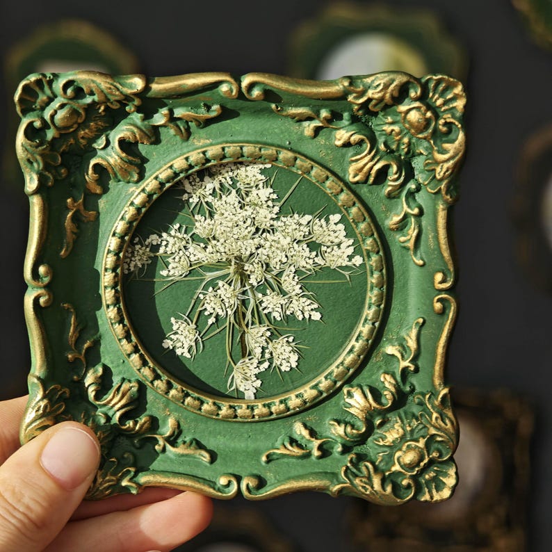 May include: A square wall frame with a dark green finish and gold-toned ornate detailing. The frame features a circular central opening containing a pressed white wildflower with delicate, lacy petals against a matching green background.