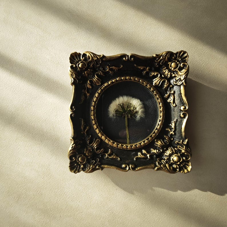May include: A square wall frame with an ornate black and gold finish featuring intricate scrollwork at the corners. The frame contains a circular glass insert displaying a single dried white dandelion seed head with a thin green stem on a dark background.