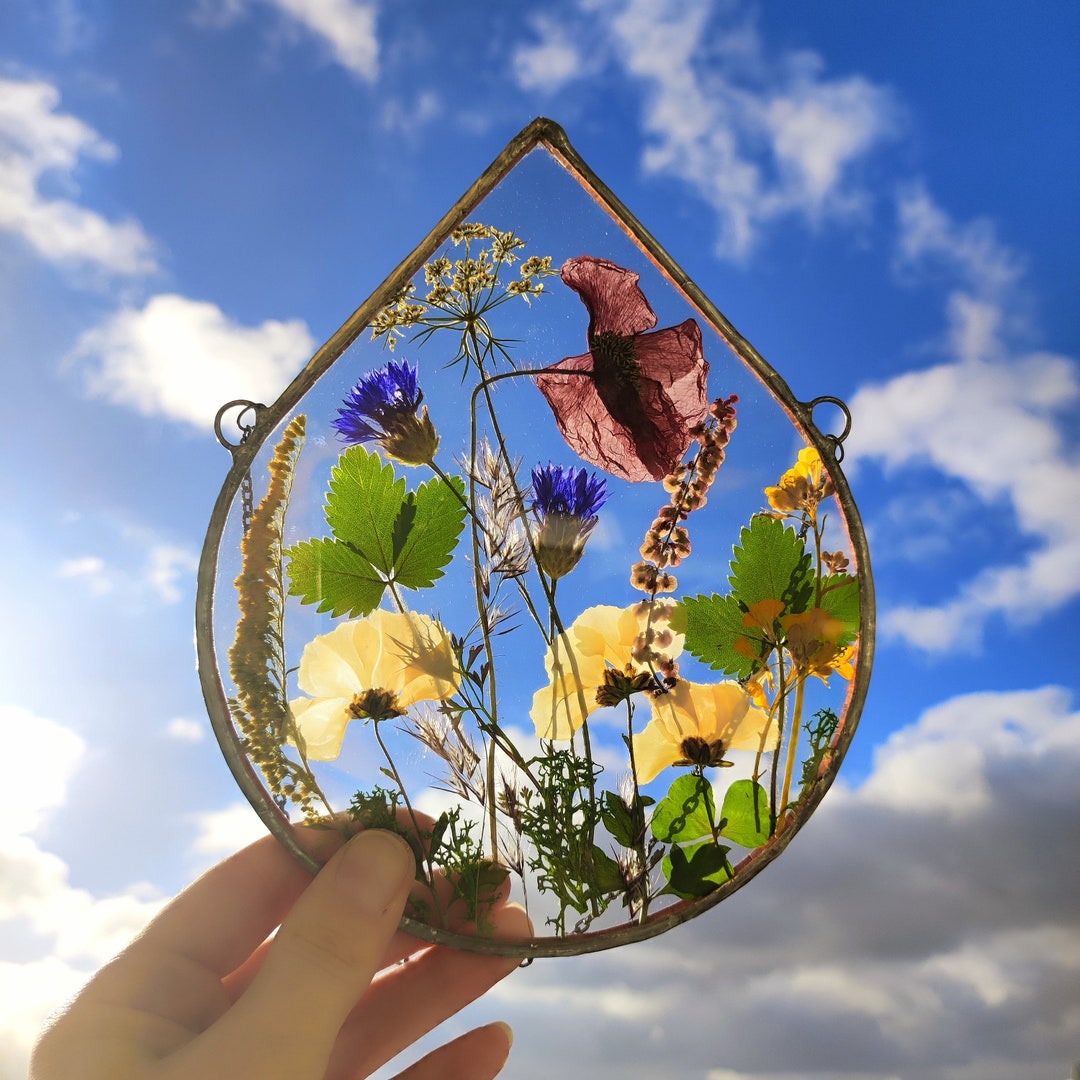 Stained Glass Frame, Pressed Flower Frame, Pressed Plant Frame, Flower
