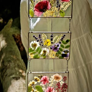 May include: Three rectangular glass panels, each showcasing pressed flowers in a variety of colors. The top panel features a large red poppy. The panels are connected by small metal chains, creating a hanging floral display.