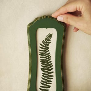 Puede incluir: Un marco de madera verde oscuro, alto y estrecho, con bordes pintados en dorado y una abertura vertical. En el interior, sobre un fondo claro, se muestra una ilustraci&oacute;n detallada de una sola hoja de helecho verde oscuro centrada.