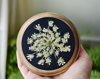 Round Botanical Frame, Real Dried Queen Annes Lace