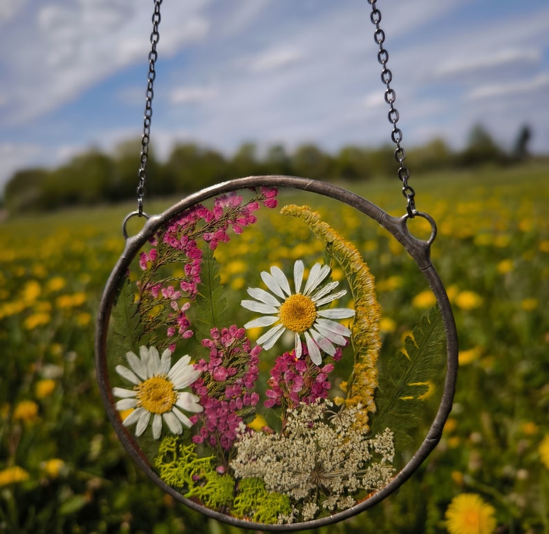 Buy Pressed Flower Suncatcher, Original Artwork Real Pressed Wildflower