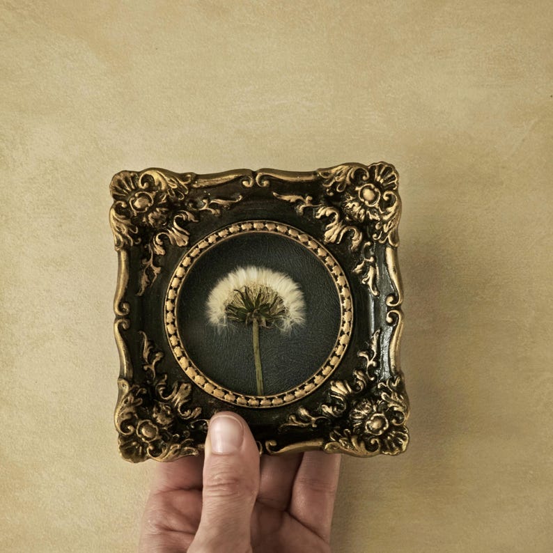 May include: A small square decorative frame with an ornate, dark brown and gold finish featuring intricate scrollwork. The frame contains a circular inset with a dark background displaying a single, preserved white dandelion seed head.