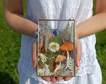Könnte beinhalten: Ein gerahmtes gepresstes Blumenkunstwerk mit einer Auswahl an getrockneten Blumen und Pilzen, darunter eine weiße Gänseblümchen, orangefarbene Pilze und grüne Farne. Der Rahmen ist aus Metall und hat eine klare Glasfront.