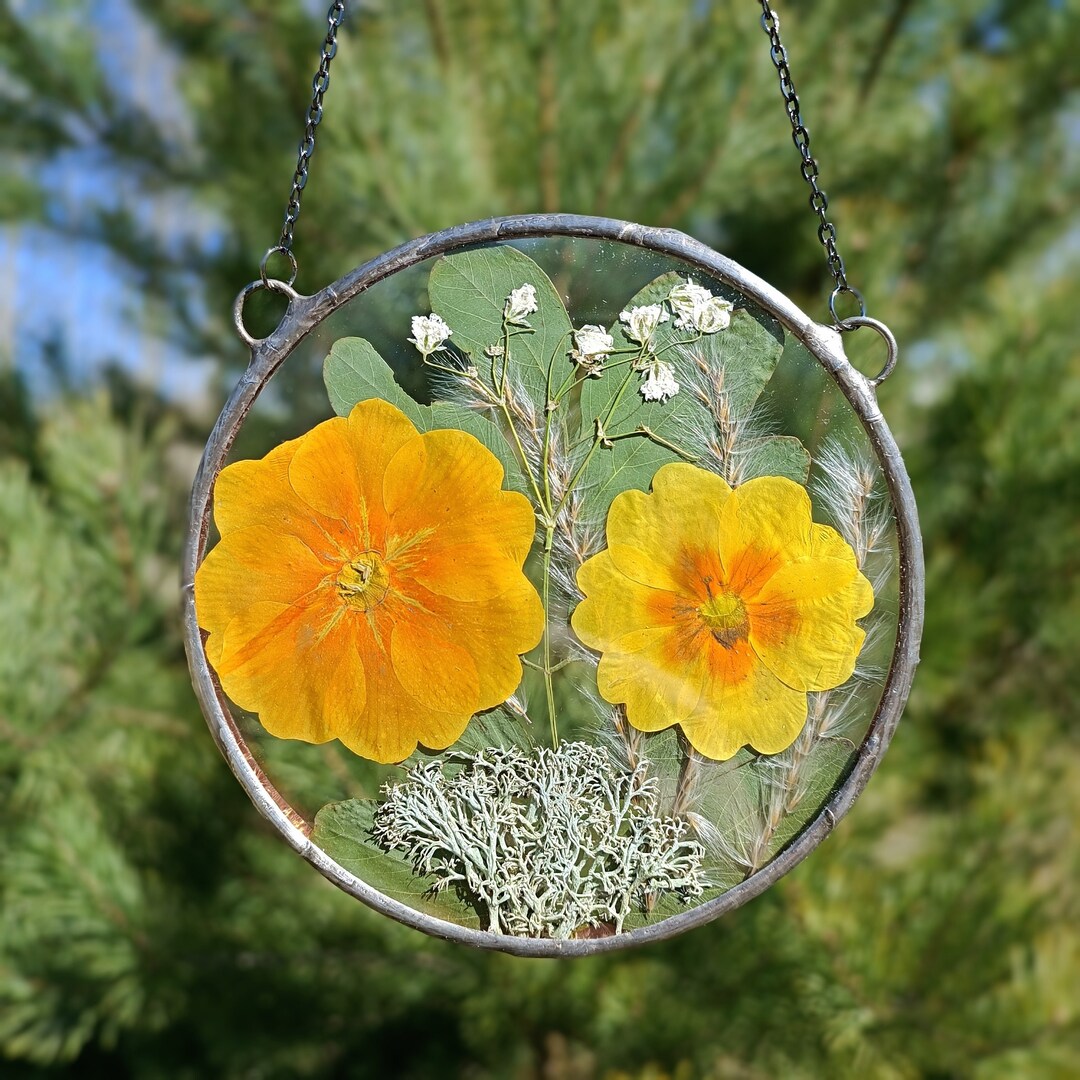 Stained Glass Frame, Pressed Flower Frame, Botanical Dried Pressed