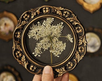 Queen Anne’s Lace Pressed Flower Art, Botanical Wall Decor, Wildflower Frame, Nature Lover Gift