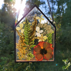 Stained glass frame, pressed flower frame, pressed plant frame, flower hanging, hanging glass decor