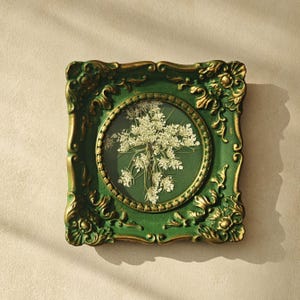 May include: A square wall frame with an ornate, dark green and gold finish featuring intricate scrollwork and floral motifs. The frame contains a circular glass insert displaying a pressed white Queen Anne's lace flower against a dark green background.