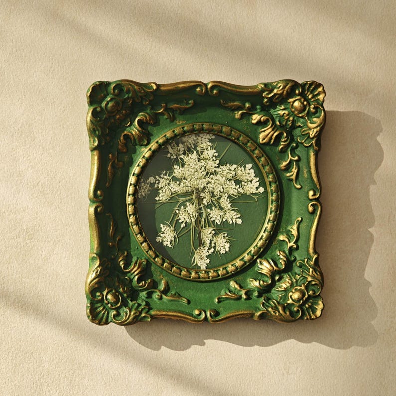 May include: A square wall frame with an ornate, dark green and gold finish featuring intricate scrollwork and floral motifs. The frame contains a circular glass insert displaying a pressed white Queen Anne's lace flower against a dark green background.