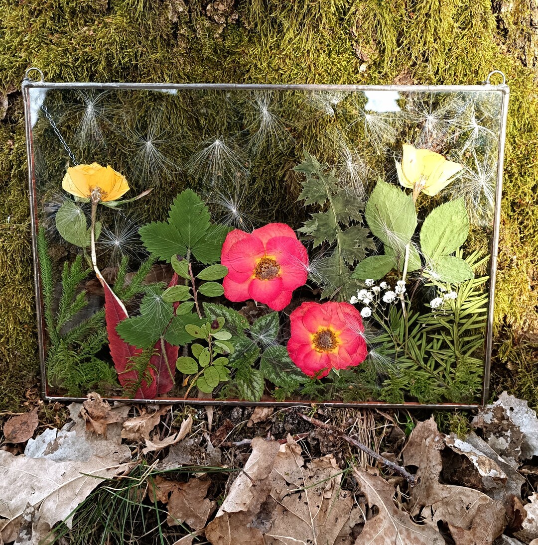 Pressed Flowers Art Stained Glass Large Pressed Flower Etsy