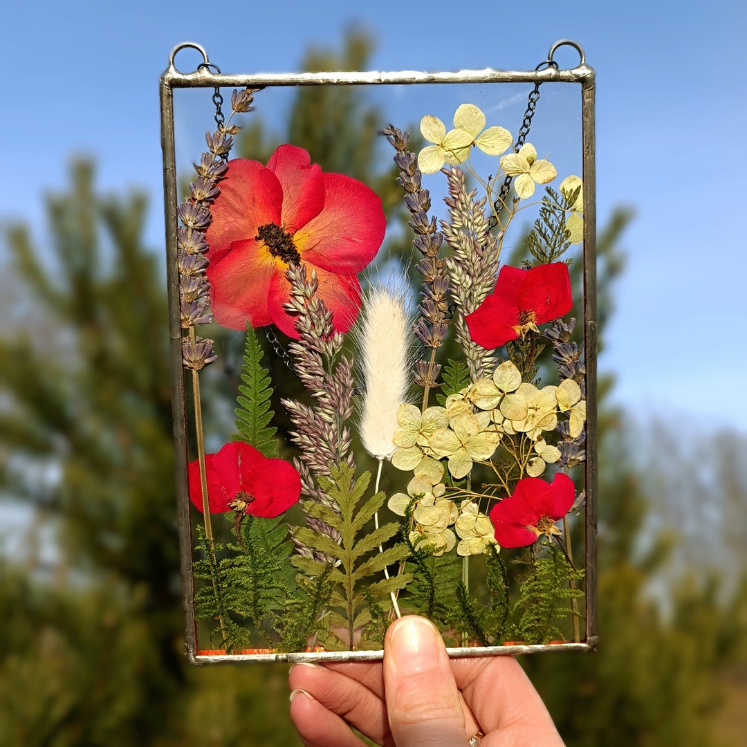 Stained Glass Frame, Pressed Flower Frame, Pressed Plant Frame, Flower
