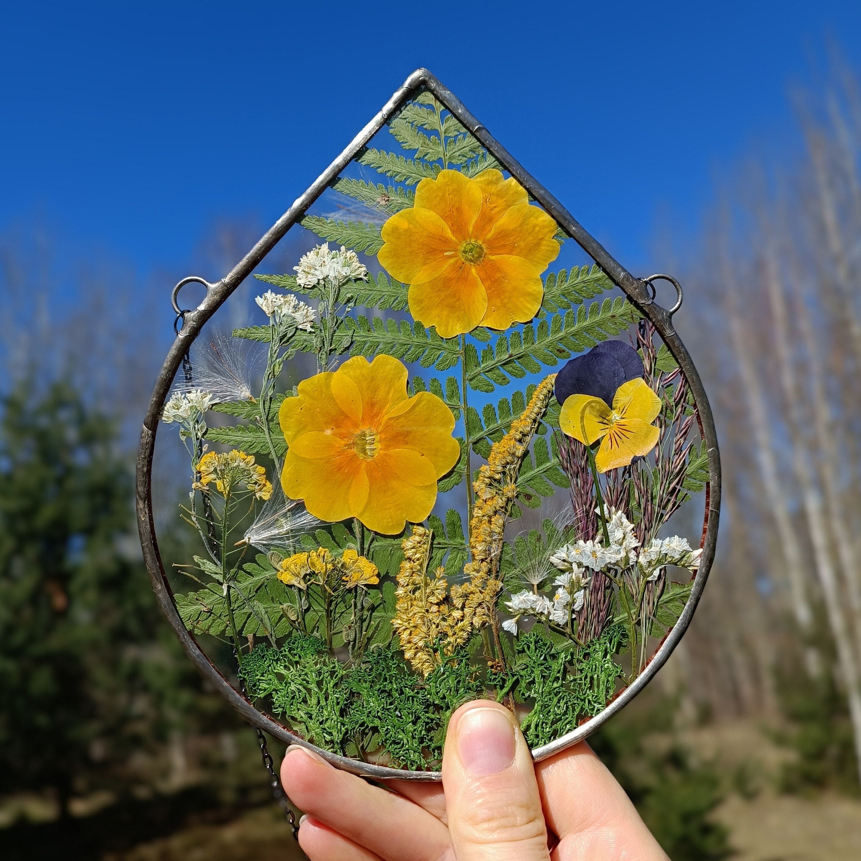 Stained Glass Frame Pressed Flower Frame Pressed Plant Etsy