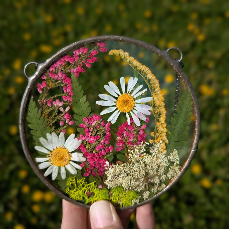 Buy Pressed Flower Suncatcher, Original Artwork Real Pressed Wildflower