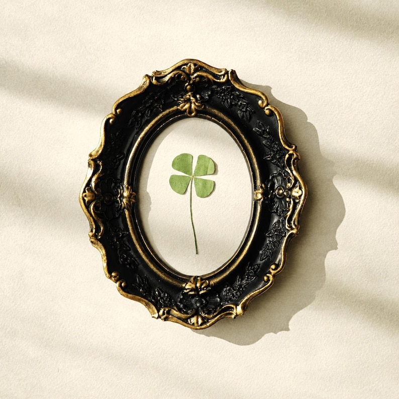 May include: An oval-shaped wall frame with a black and gold finish featuring ornate, raised floral detailing. Inside the frame, a single pressed four-leaf clover is centered on a plain, light-colored background, creating a botanical display.