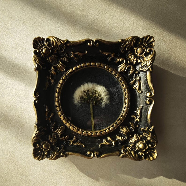 May include: A square wall frame with an ornate, black and gold finish featuring intricate floral carvings at the corners. The frame contains a circular glass display housing a single, dried white dandelion seed head against a dark background.