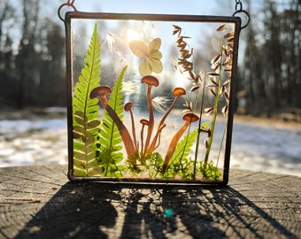May include: A framed pressed flower art piece with a variety of dried flowers and mushrooms. The frame is made of wood and has a clear glass front. The flowers are arranged in a natural, organic way, and the mushrooms are scattered throughout the piece. The piece is a beautiful and unique way to display pressed flowers.