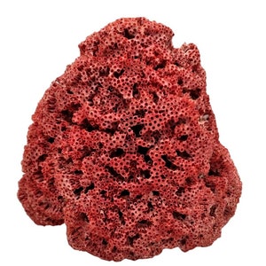 May include: A large, red coral specimen with a porous, textured surface. The coral is shaped like a mound and has a natural, organic appearance.