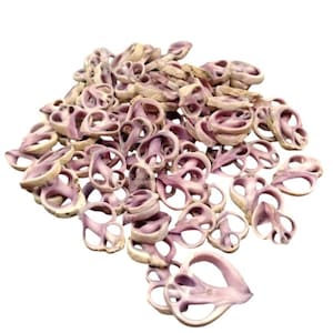 Cebu Purple Center Cuts 100 Pieces Shells For Crafts & Collectors
