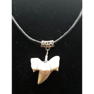 Vintage Shark Tooth Fossil Necklace