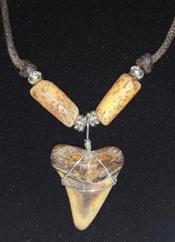 Vintage Mako Shark Tooth Fossil Necklace Silver To