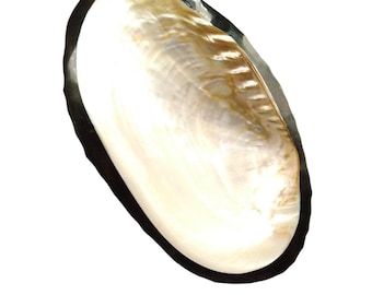 Vintage Large Polished Mother Of Pearl Shell Caviar Server Platter