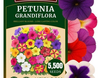 5500+ Petunia Seeds - Grandiflora Heirloom Mix