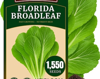 1550+ Florida Broadleaf Mustard Seeds | Heirloom, Non GMO