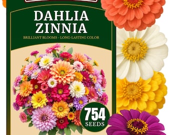 754+ Zinnia Dahlia Flower Seeds, Vibrant Heirloom Blooms