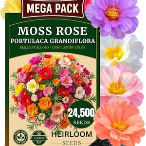 24500+ Moss Rose Seeds - Portulaca Grandiflora Mix