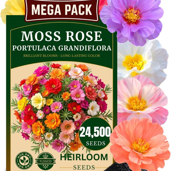 24500+ Moss Rose Seeds - Portulaca Grandiflora Mix