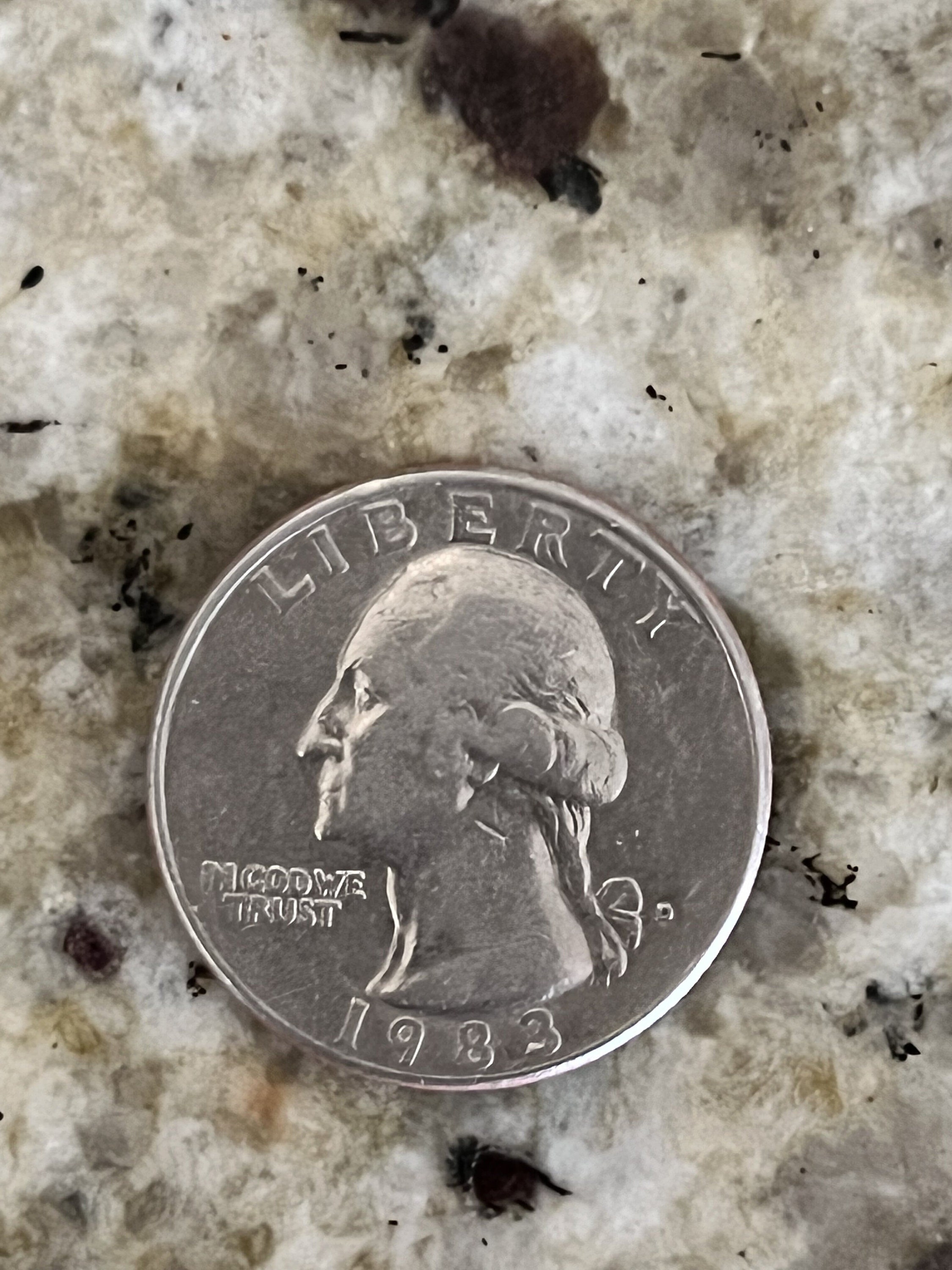 Quarter dollar 1987 - Etsy 日本