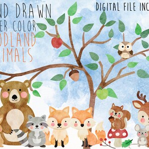 Woodland Animals Clipart, Watercolor Woodlands Clipart