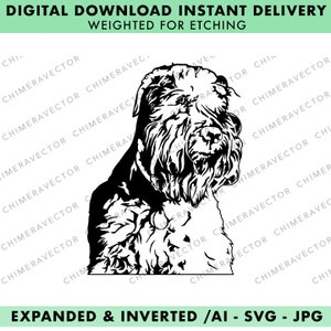 BRIARD Dog Vector Art - SVG - Ai