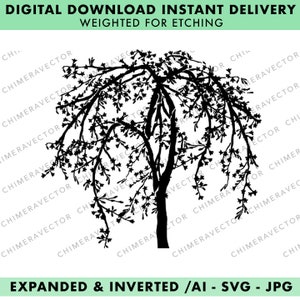 Weeping Cherry Tree - SVG - Ai
