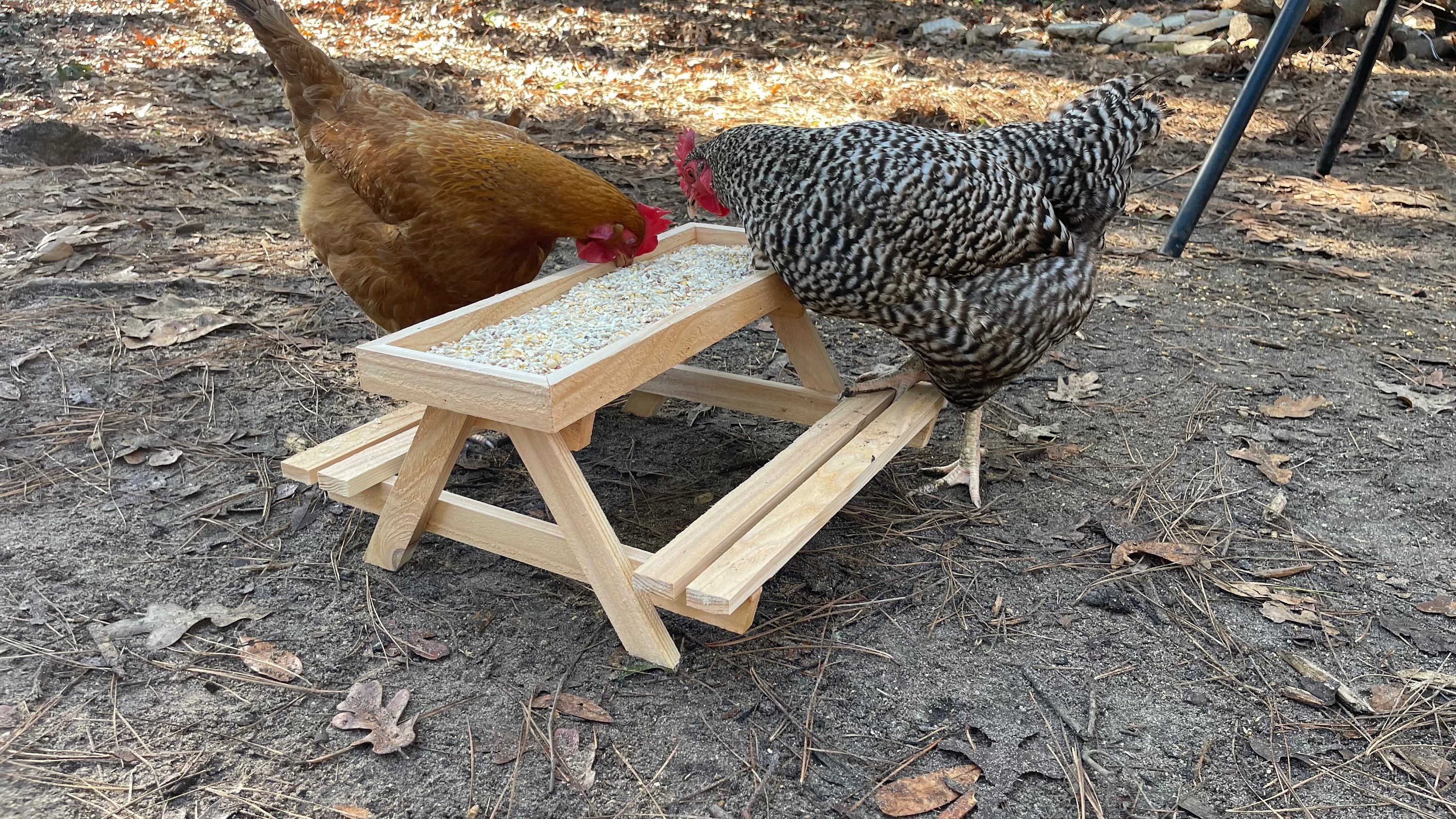 Chicknic Table, Chicken Picnic Table, Chicken Feeder and Water Bowl. Etsy